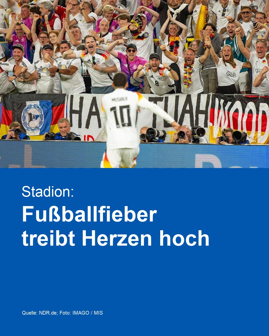 Stadion: Fußballfieber treibt Herzen hoch